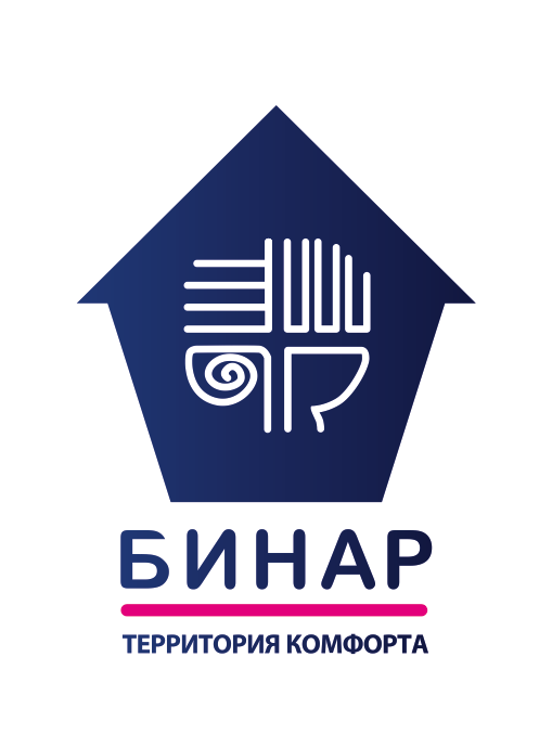 Официальный логотип ООО НПФ Бинар