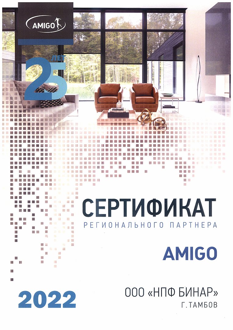 Сертификат регионального партнера AMIGO 2022